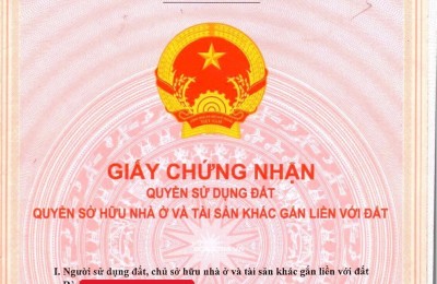Vị trí 